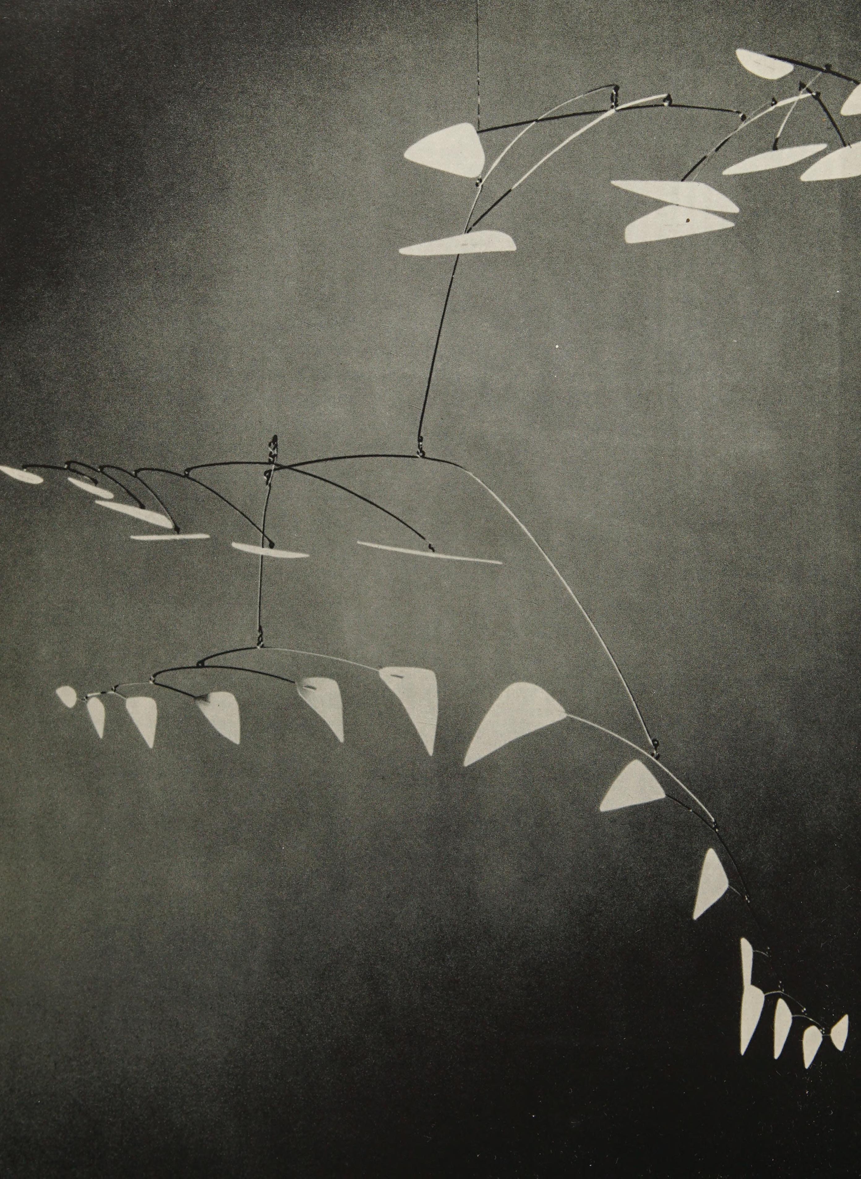 Calder