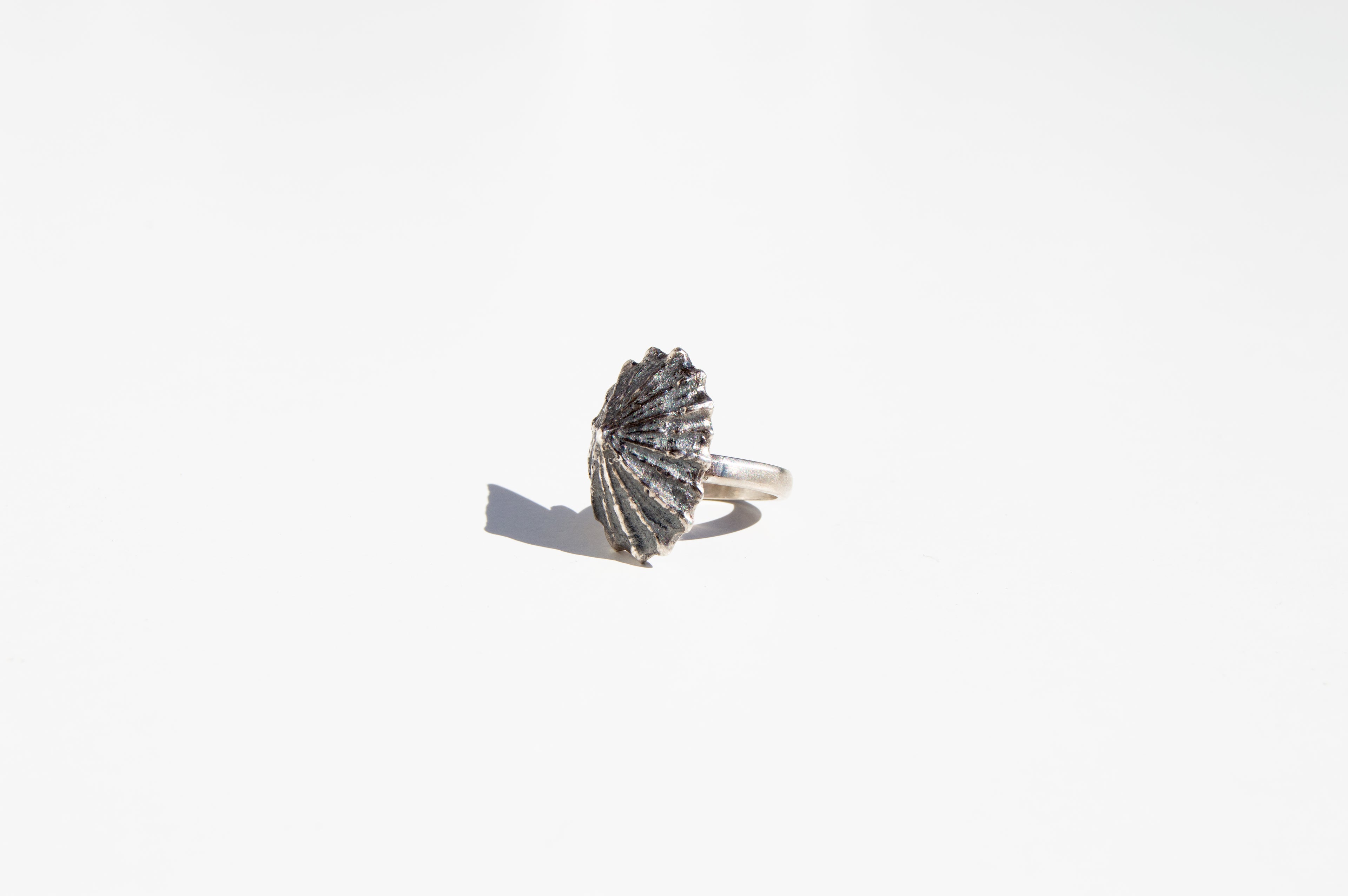 Anillo Patella Medium