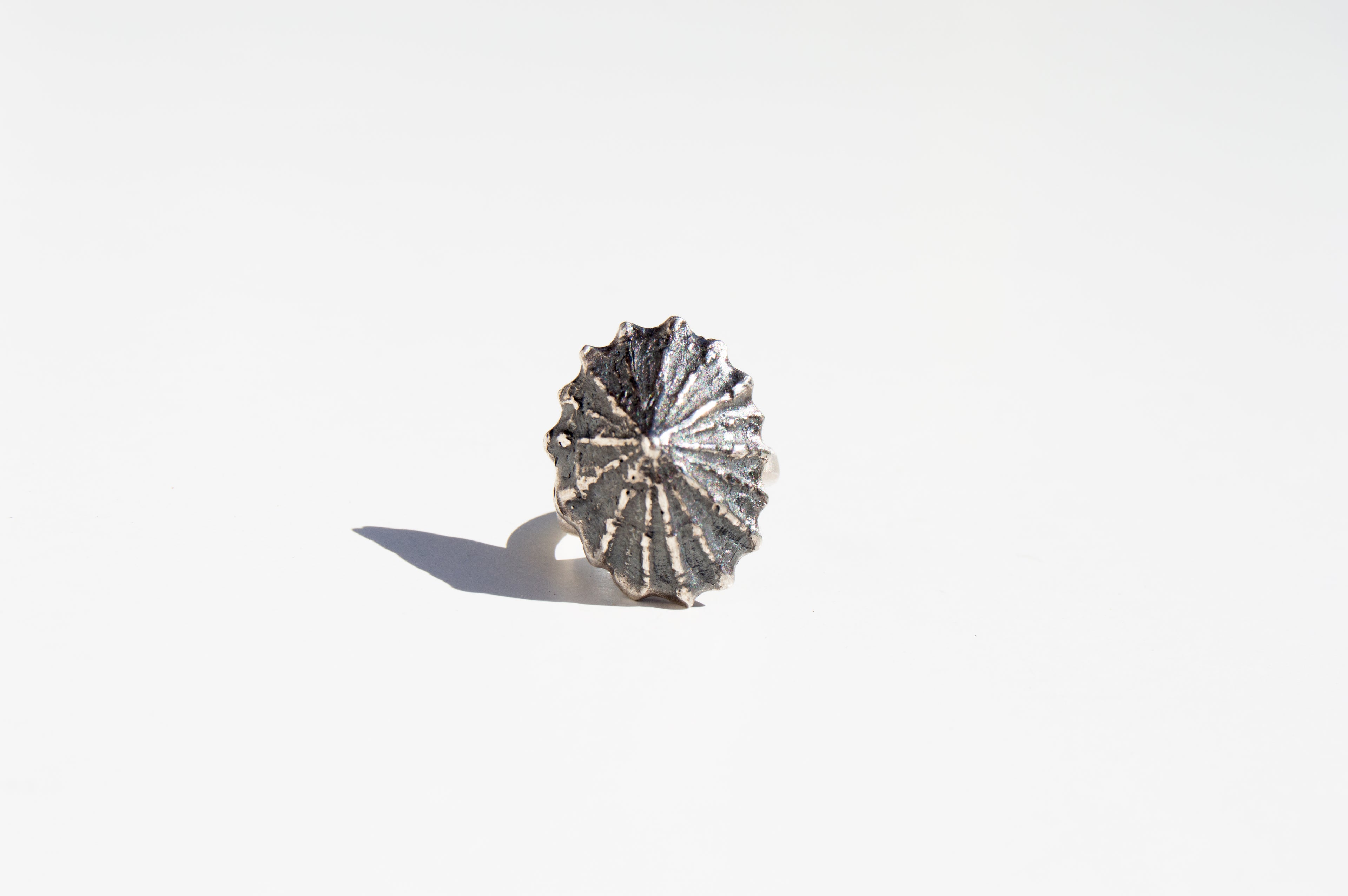 Anillo Patella Medium