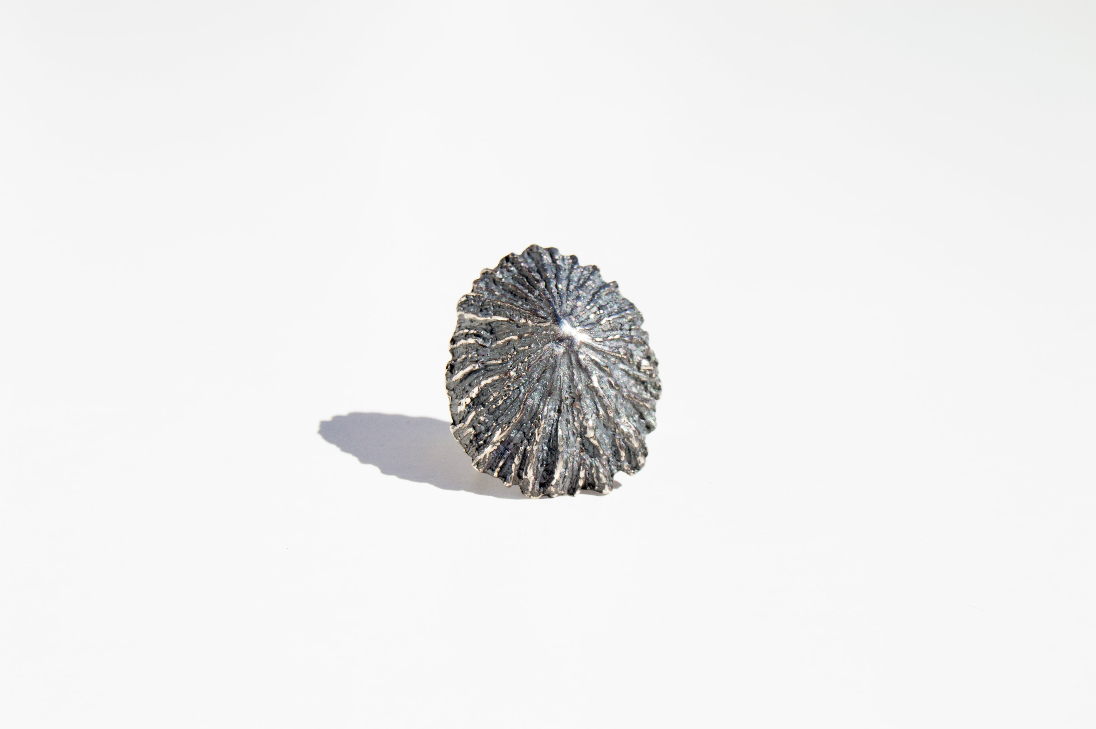 Anillo Patella Maxi