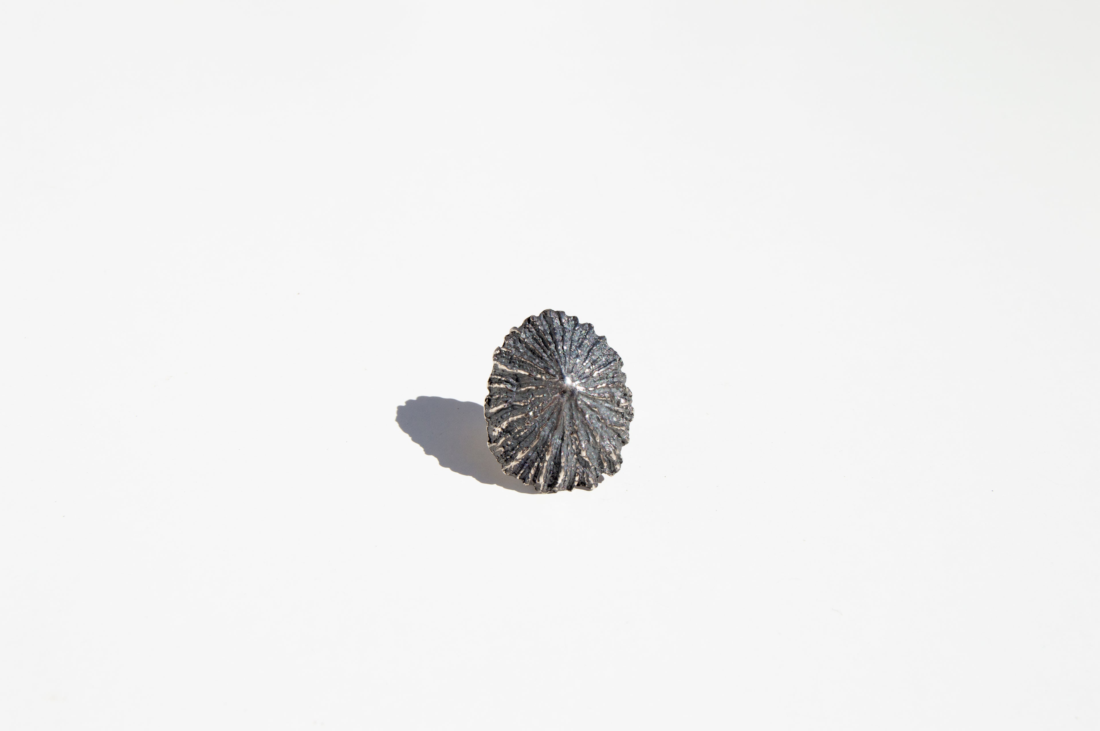 Anillo Patella Maxi