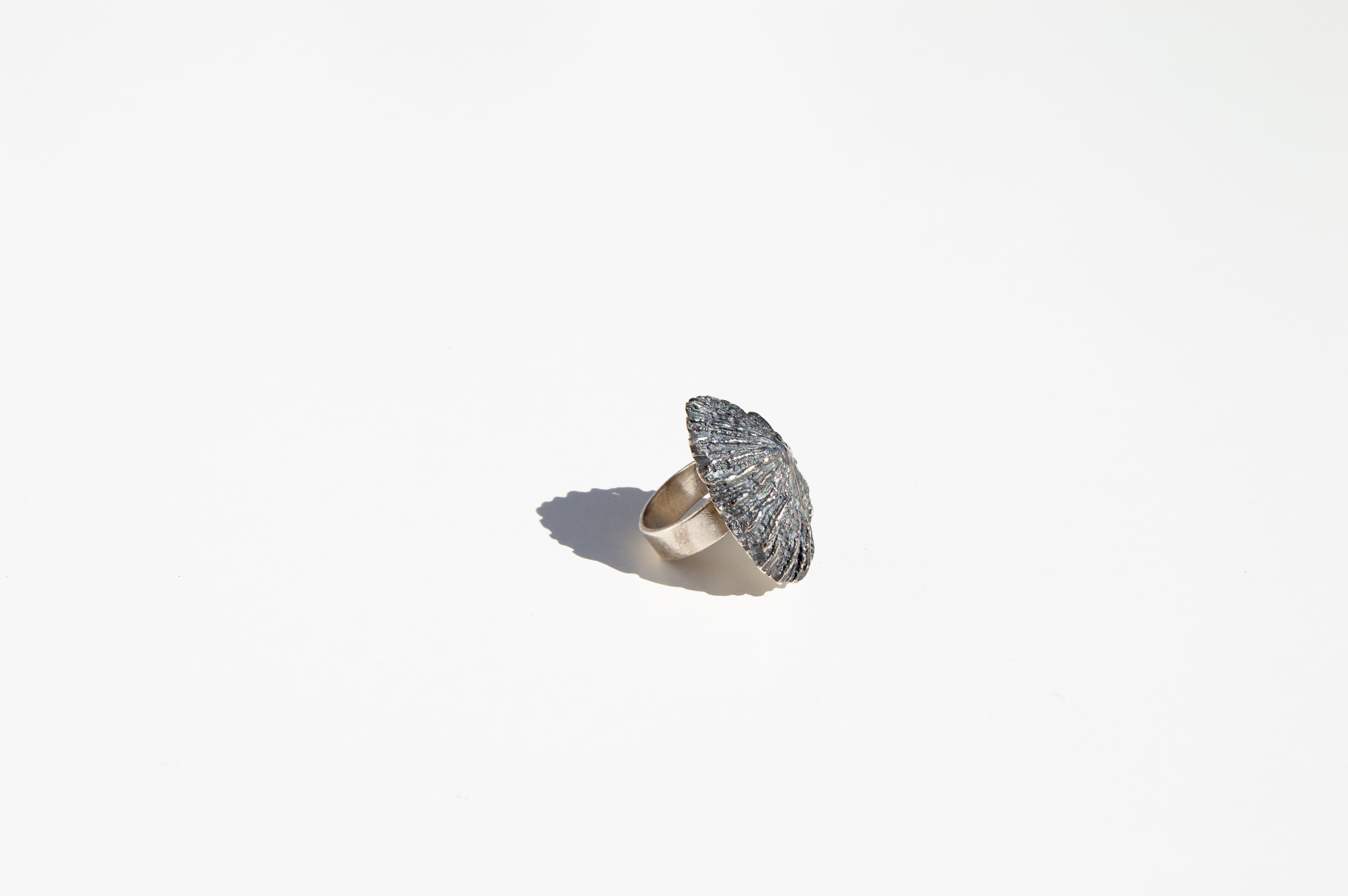 Anillo Patella Maxi